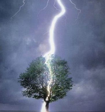 Éclair frappant un arbre